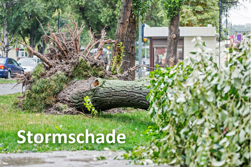 stormschade